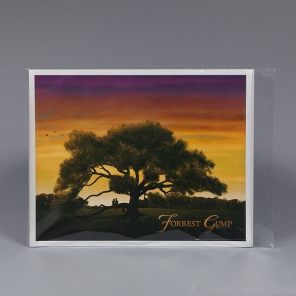 16 x 20 Still Poly Sleeve